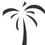 Palm View Investments